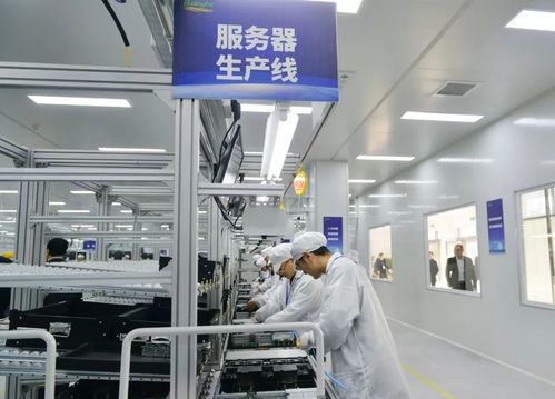 黑馬河南 這一年，不平凡的網絡技術服務征程